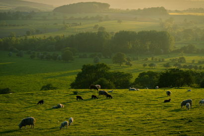 COP15 agreement marks vital progress on biodiversity