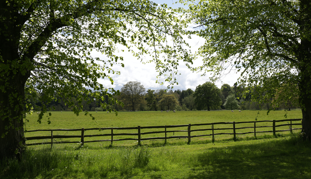 Environmental principles. Environmental principles