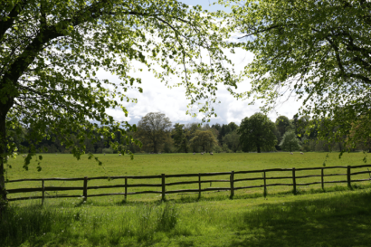 COP Conversations: delivering sustainable low-carbon agriculture in a changing climate