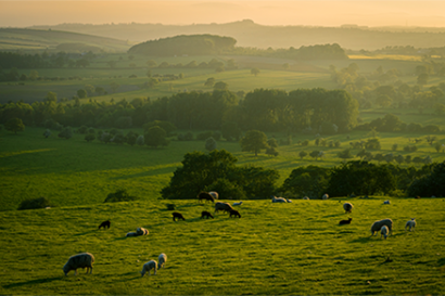 Scope of the long-term targets in the Environment Bill