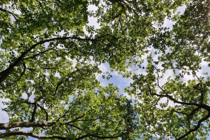 Strong appetite from corporates to identify nature-related financial risk