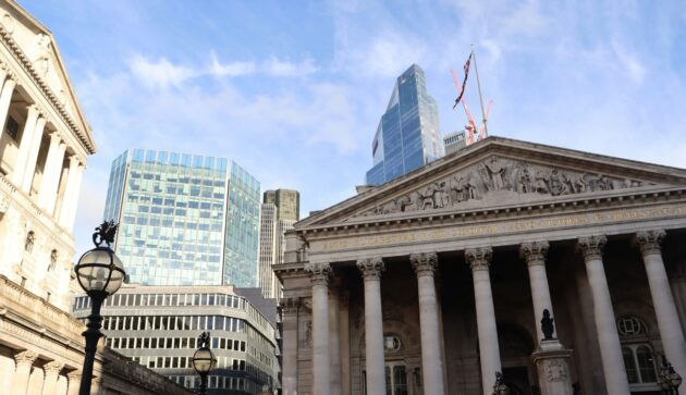 Government risks serving up a PuFin soup