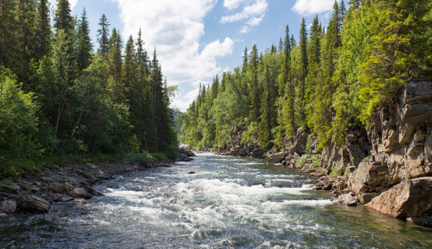 Running on water: the business case for a cross-economy approach 