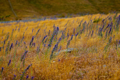 Making the NRF work for business and the environment