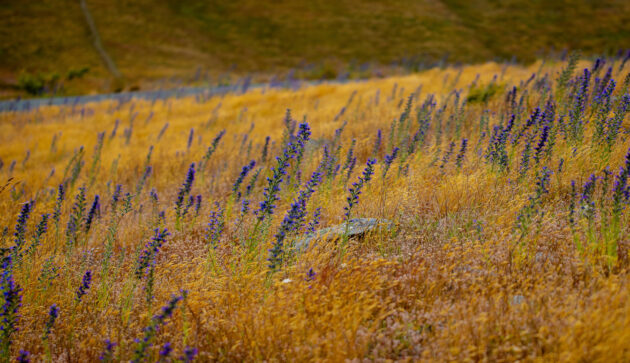 Making the NRF work for business and the environment