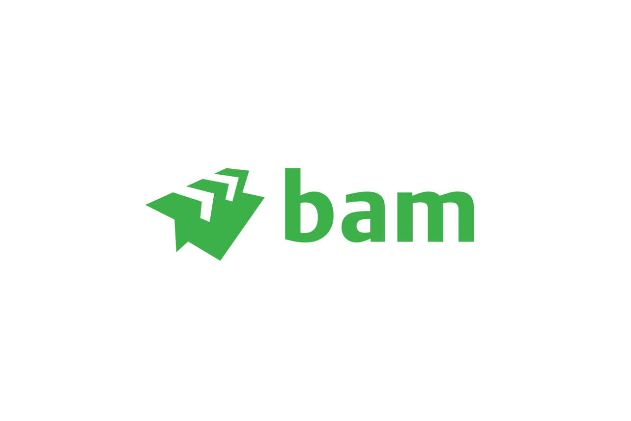 BAM