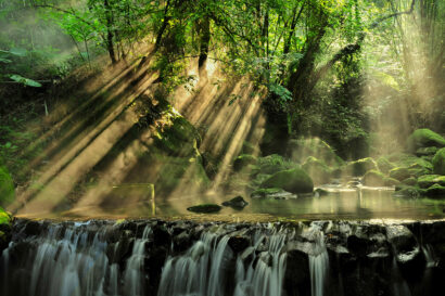 Placing Nature on the Board Agenda: A guide to incorporating nature into your business