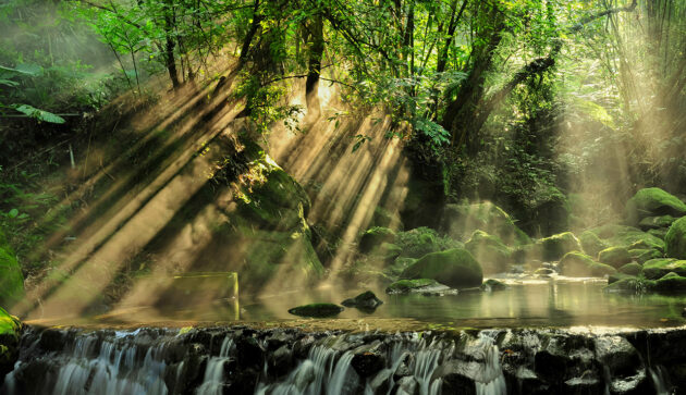 Placing Nature on the Board Agenda: A guide to incorporating nature into your business