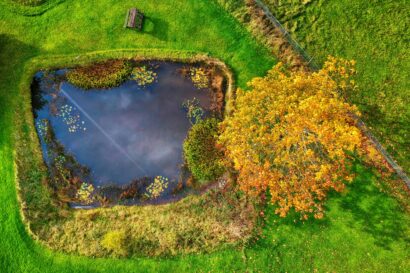 Case Study: Farming with Nature – Nestlé and First Milk’s Regenerative Milk Plan