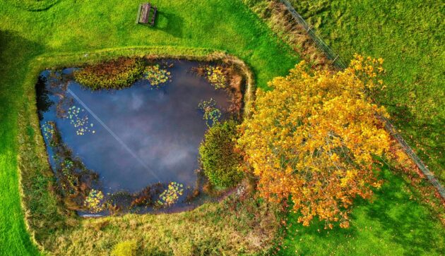 Case Study: Farming with Nature – Nestlé and First Milk’s Regenerative Milk Plan